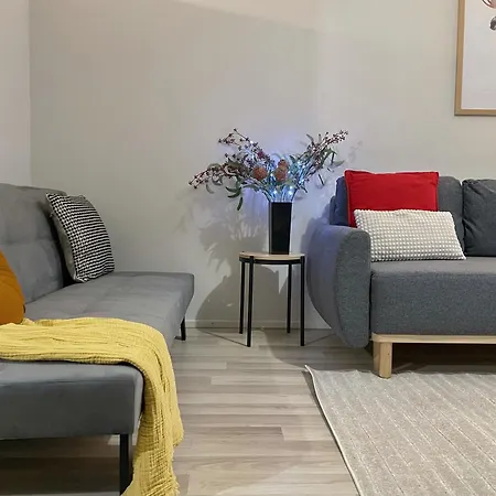 Fully Equipped Gem 公寓 罗瓦涅米